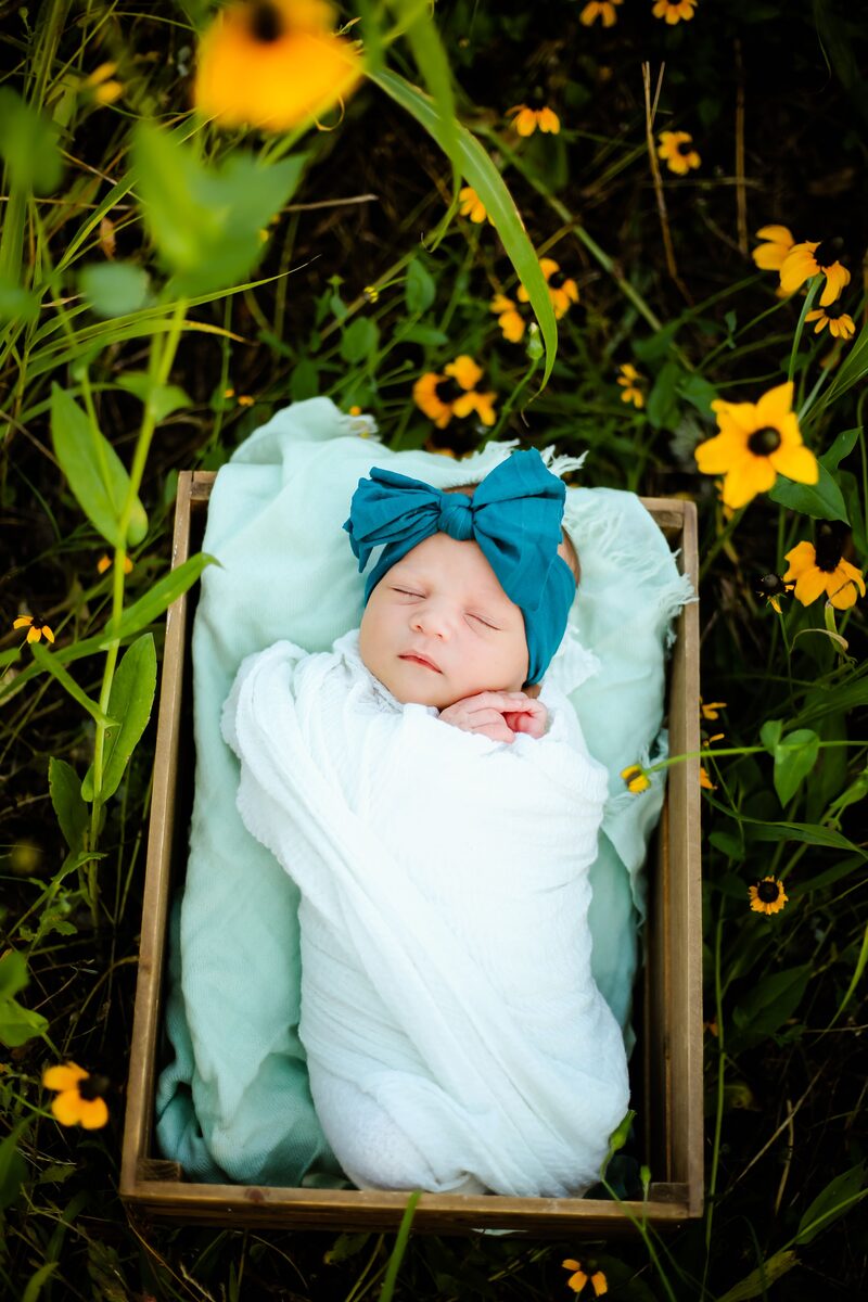 A newborn swaddled in white, sleeping among yellow wildflowers