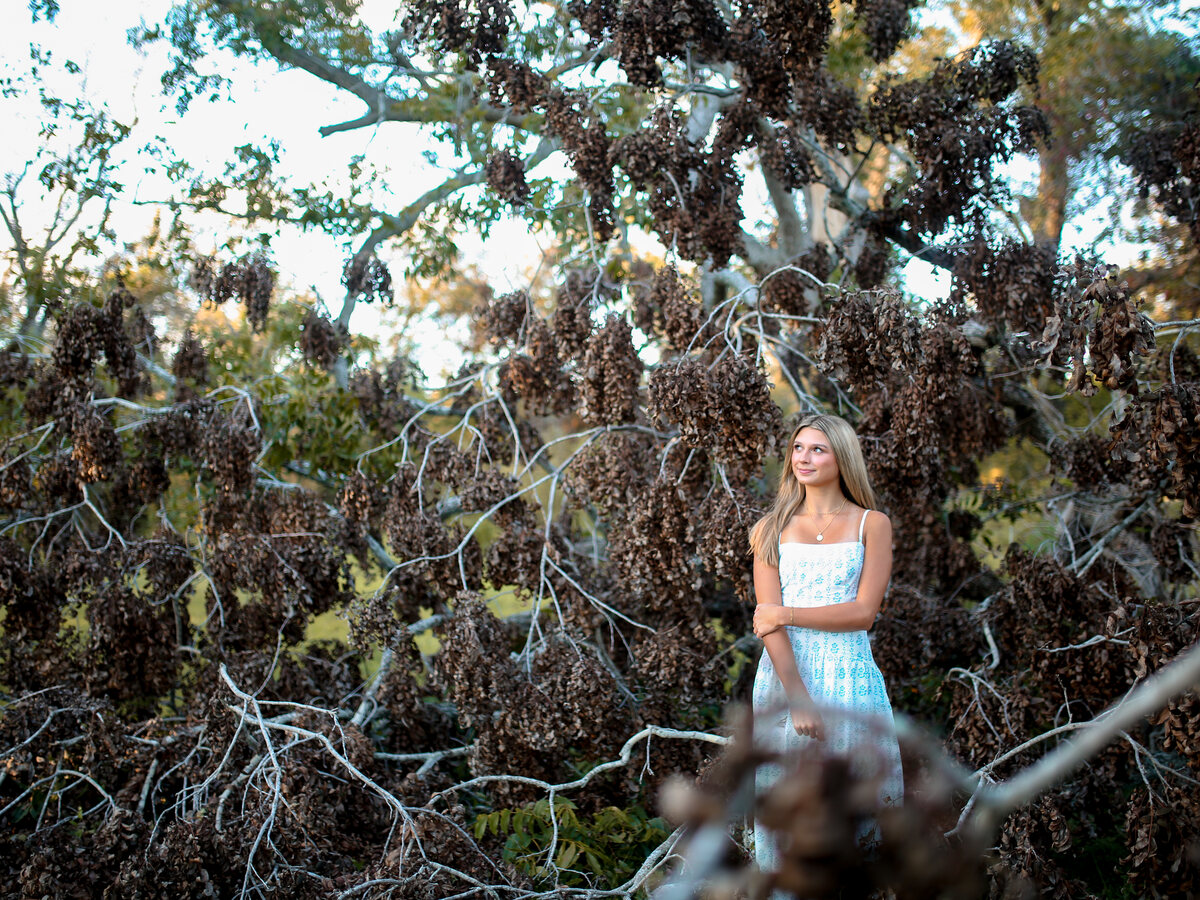 Reese standing in the branches of an old tree